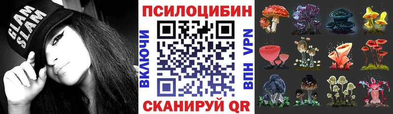 Купить где  Миньяр  Галлюциногенные грибы Psilocybine cubensis 